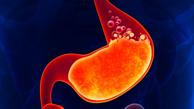 Memahami Penyakit Lambung